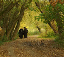 �� ���� �� ������� � ���������